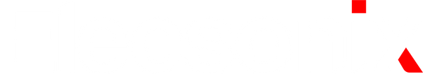 Elecsonix